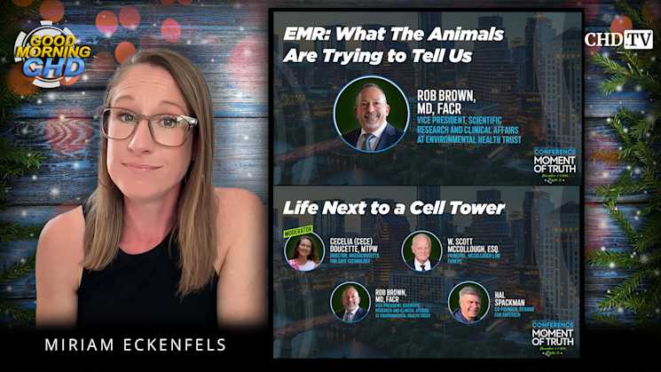 EMR: What The Animals Are Trying to Tell Us + Life Next to a Cell Tower