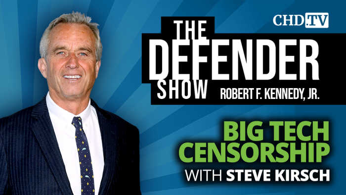Big Tech Censorship With Steve Kirsch