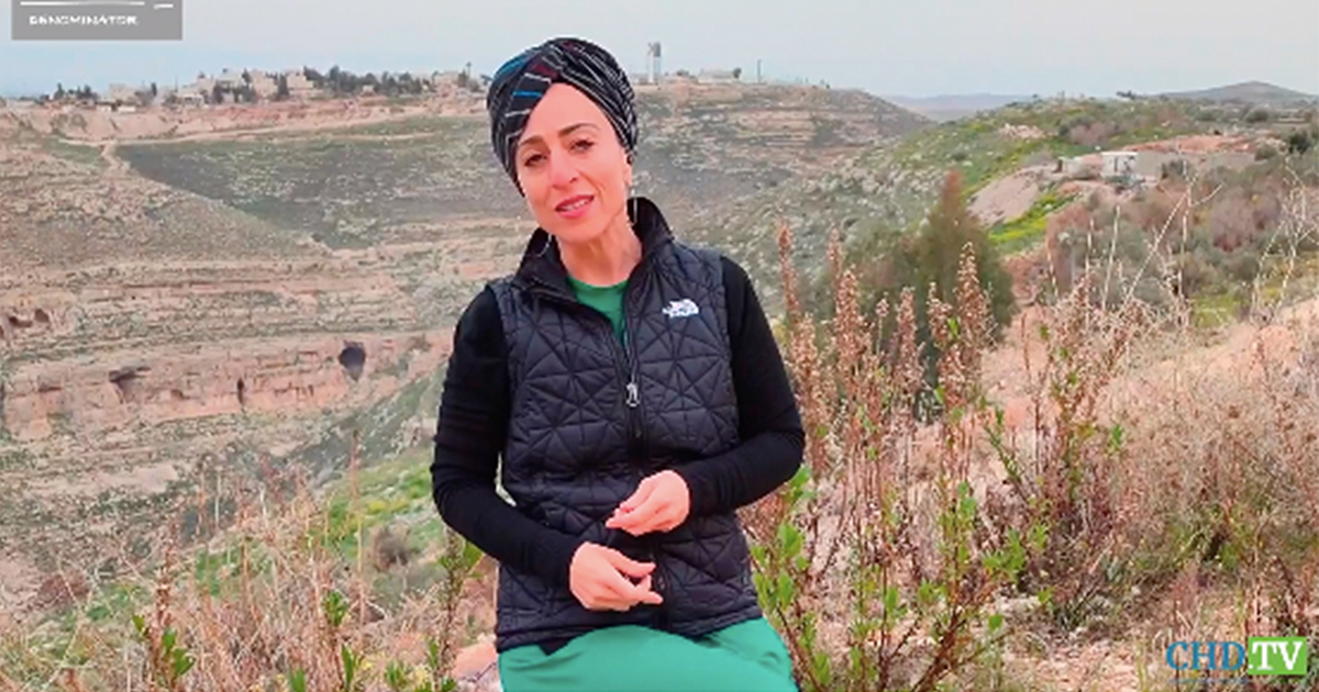 Star Light, Star Bright