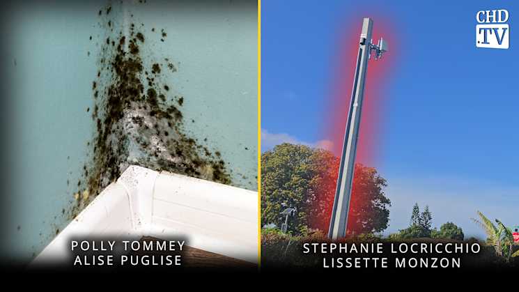 Hidden Danger of Mold + Small Cell in My Backyard
