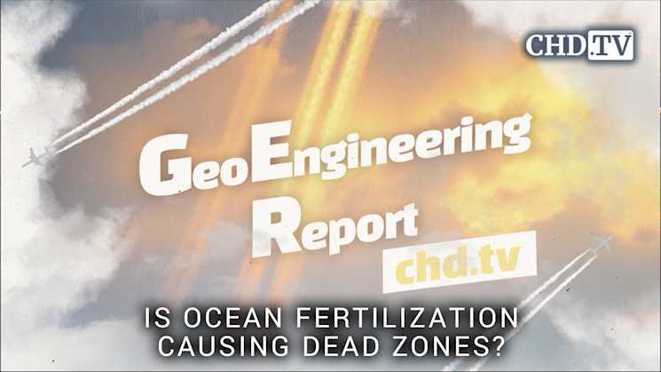 Is Ocean Fertilization Causing Dead Zones? - Geoengineering Report