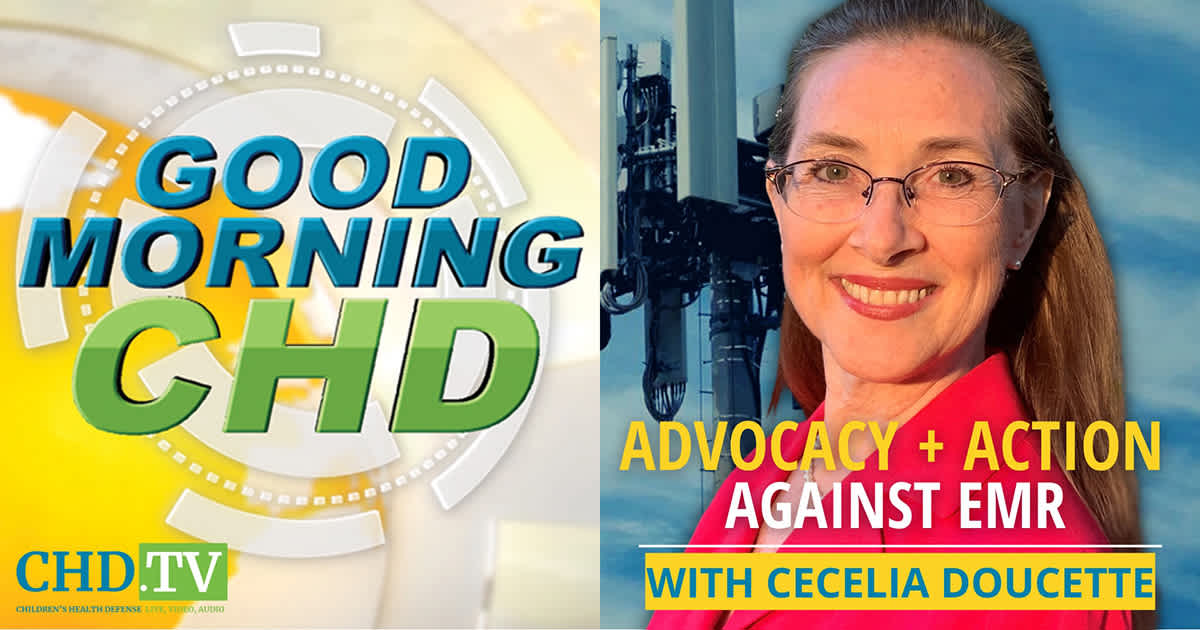 Invisible Poisoning — Wireless Radiation + Advocacy With Cecelia Doucette