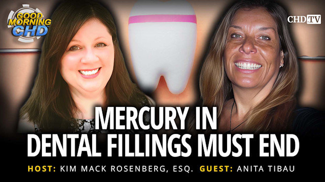 Kim Anita - Mercury Dental Fillings Cover