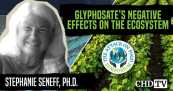  Glyphosate's Negative Effects on the Ecosystem — Stephanie Seneff, Ph.D.