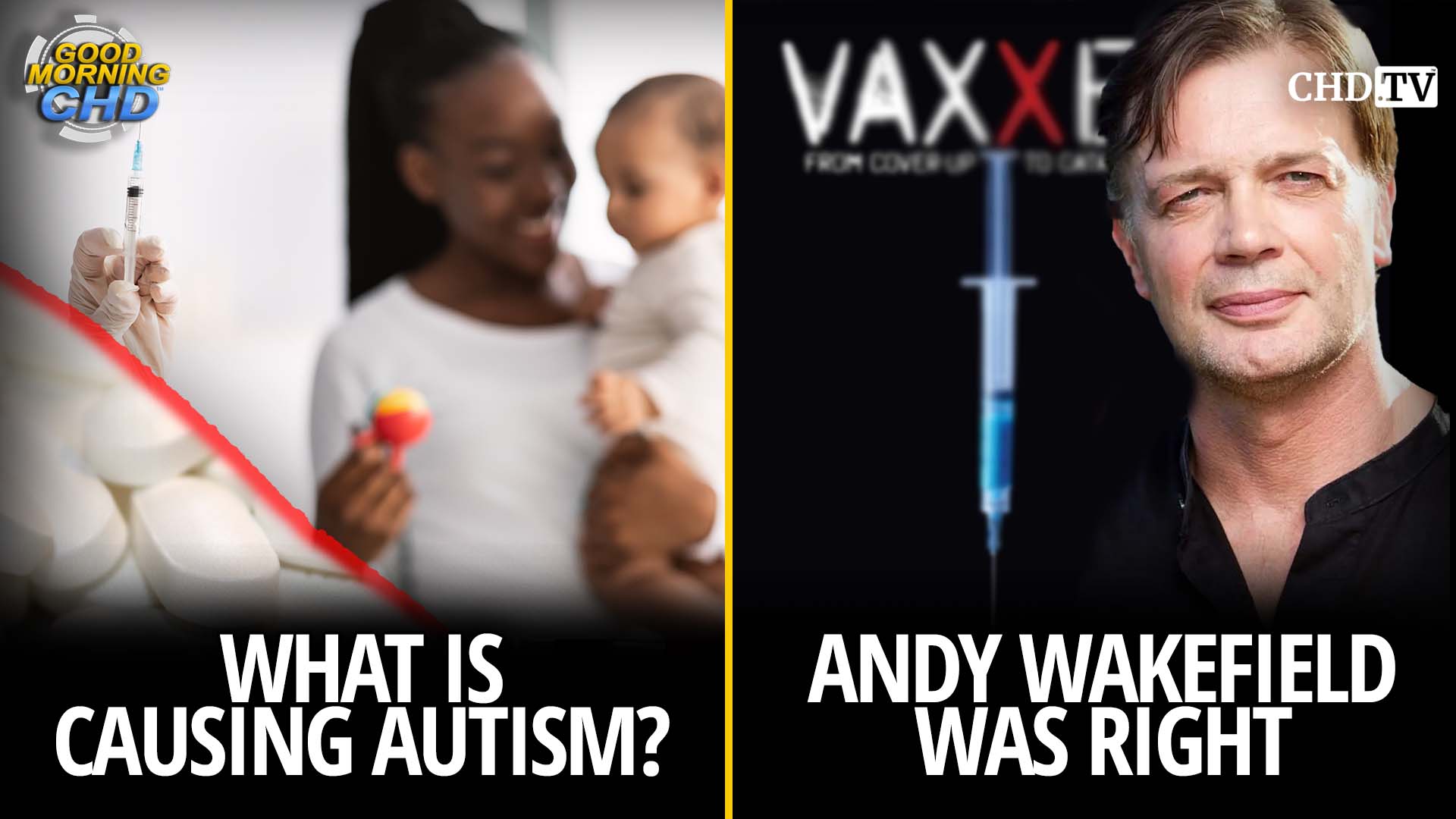 What IS Causing Autism? + Andy Wakefield Was Right