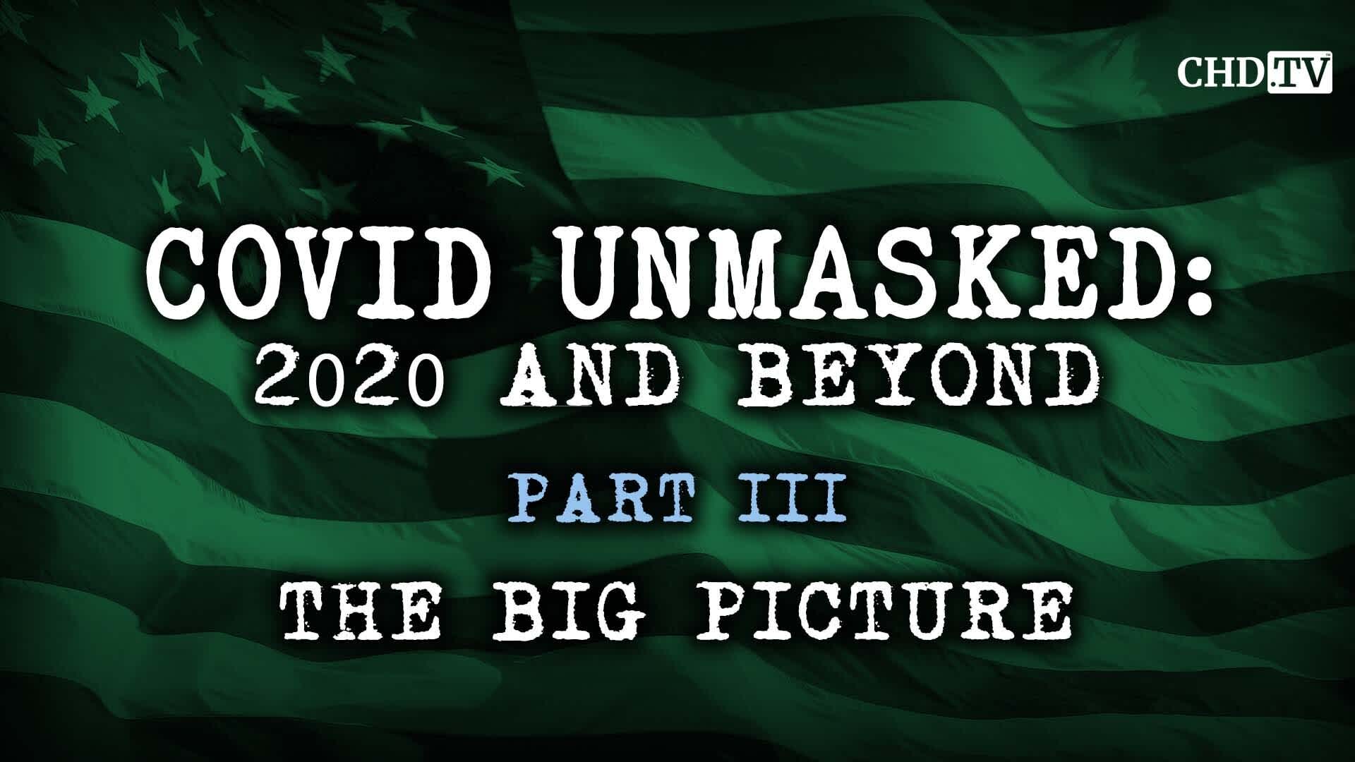 COVID UNMASKED PART 3: THE BIG PICTURE