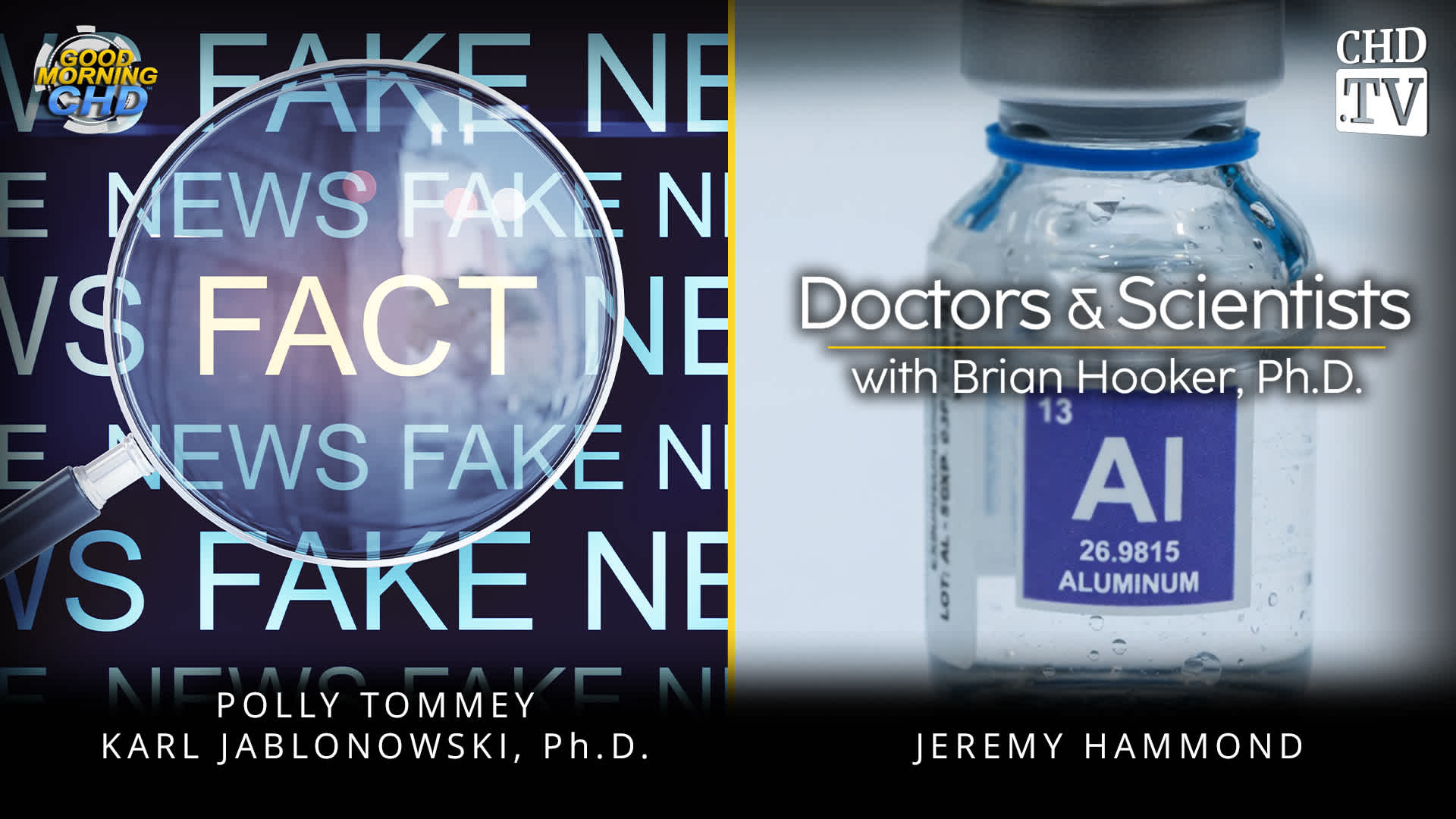 Fact Checking Paul Offit + What About Aluminum?