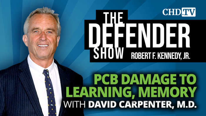 David Carpenter, M.D. Warns PCBs Cause Irreversible Damage to Learning, Memory