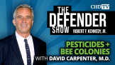 Pesticides and Collapsing Bee Colonies With David Carpenter, M.D.