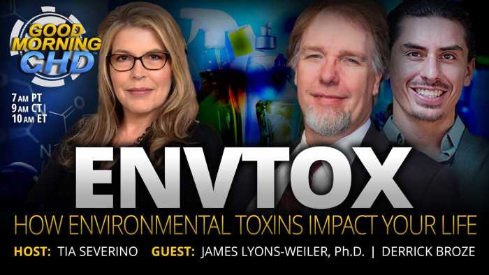 How Environmental Toxins Impact Your Life