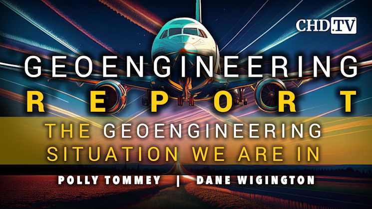 The Geoengineering Situation We Are In