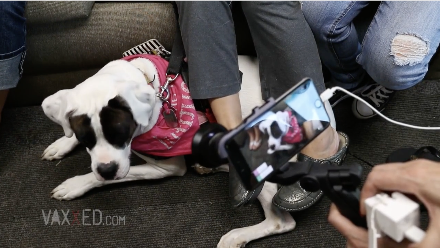 Bourque Family in North Carolina