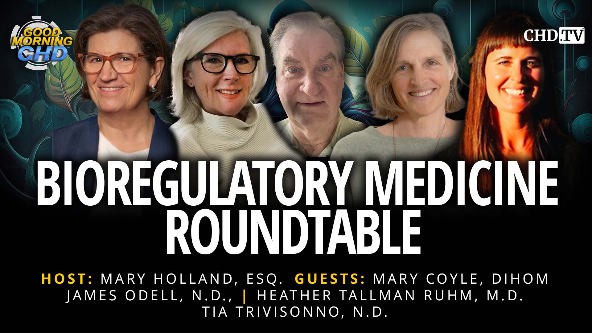 Bioregulatory Medicine Roundtable -