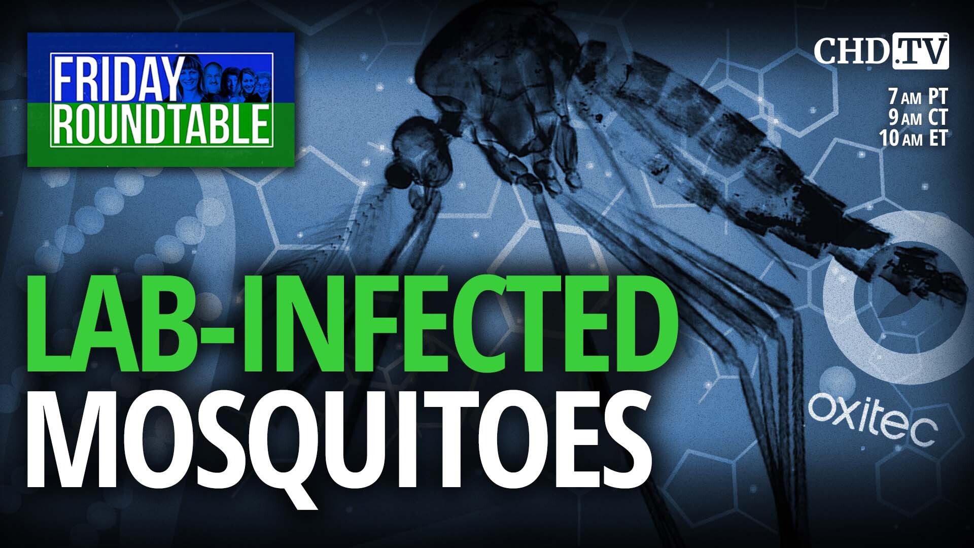 ‘Dangerous Experiment’: Lab-infected Mosquito Release