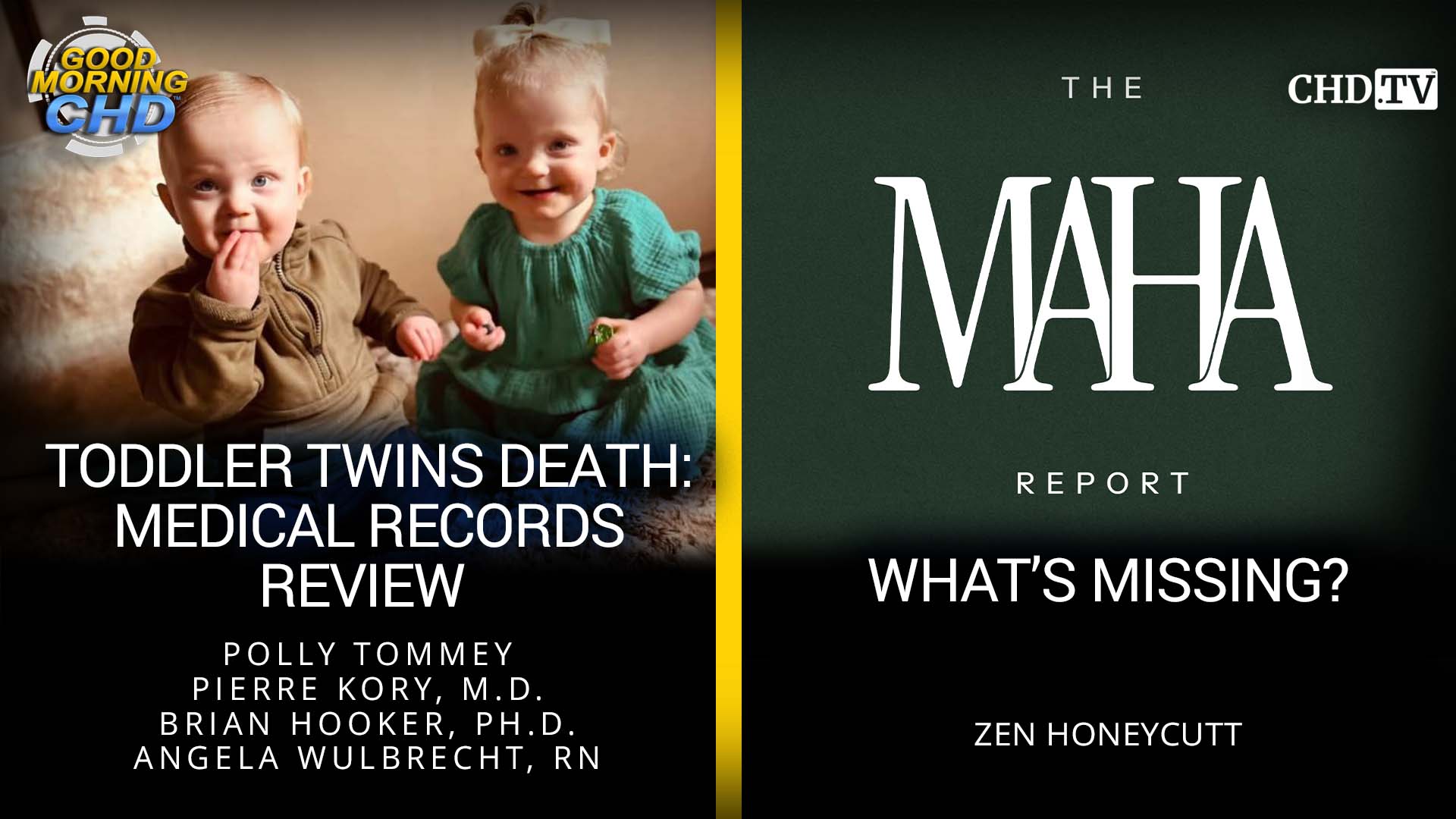 Toddler Twins Death:  Medical Records  Review + The MAHA Report: What's Missing