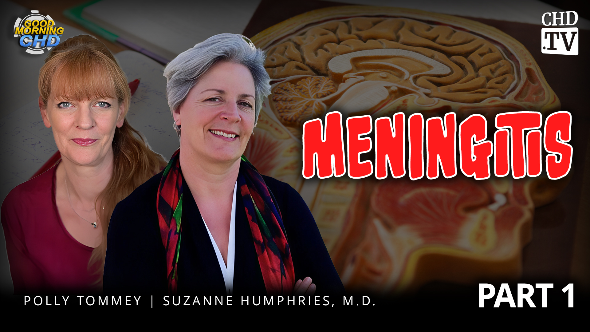 Should We Be Afraid of Meningitis?