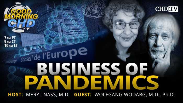 Global Governance Part 2: The Business of Pandemics