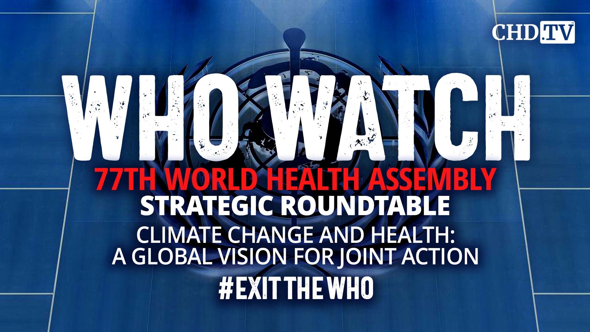 Climate Change and Health: A Global Vision for Joint Action | Strategic Roundtable