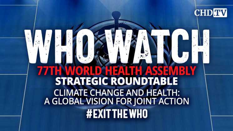 Climate Change and Health: A Global Vision for Joint Action | Strategic Roundtable
