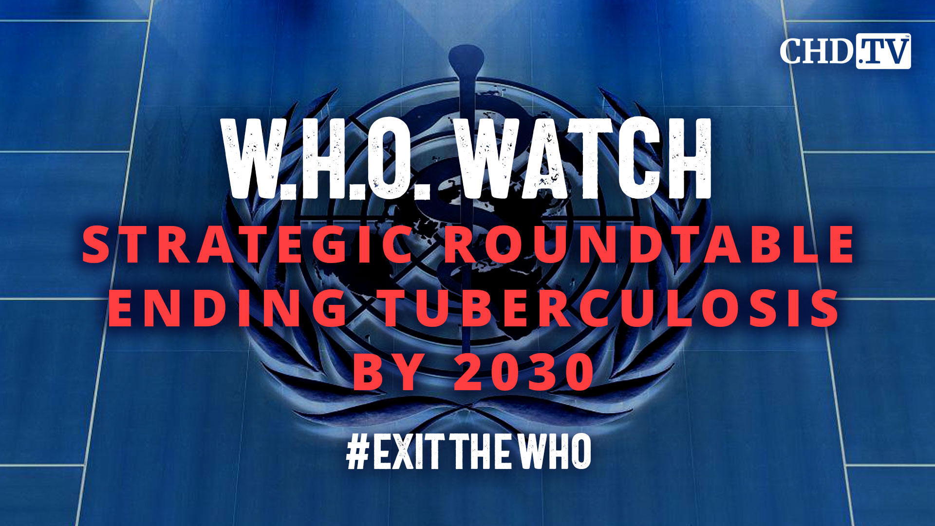 Strategic Roundtable Ending Tuberculosis by 2030