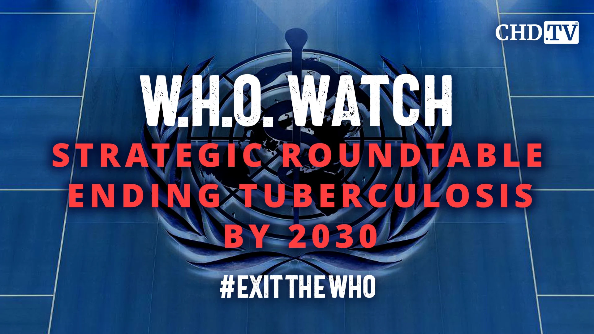 Strategic Roundtable Ending Tuberculosis by 2030