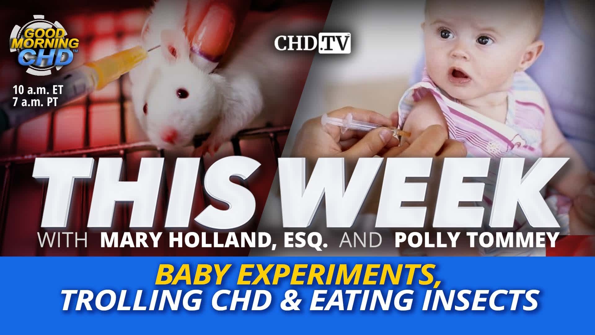 Baby Experiments, Trolling CHD & Eating Insects