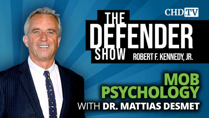 Mob Psychology With Dr. Mattias Desmet
