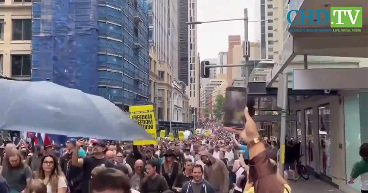 New Year‘s Special With Attorney Patricia Finn