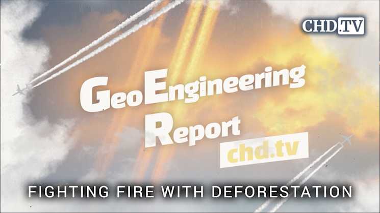 Fighting Fire with Deforestation - Geoengineering Report