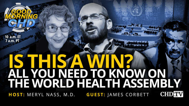 Is This a Win? All You Need To Know on the World Health Assembly