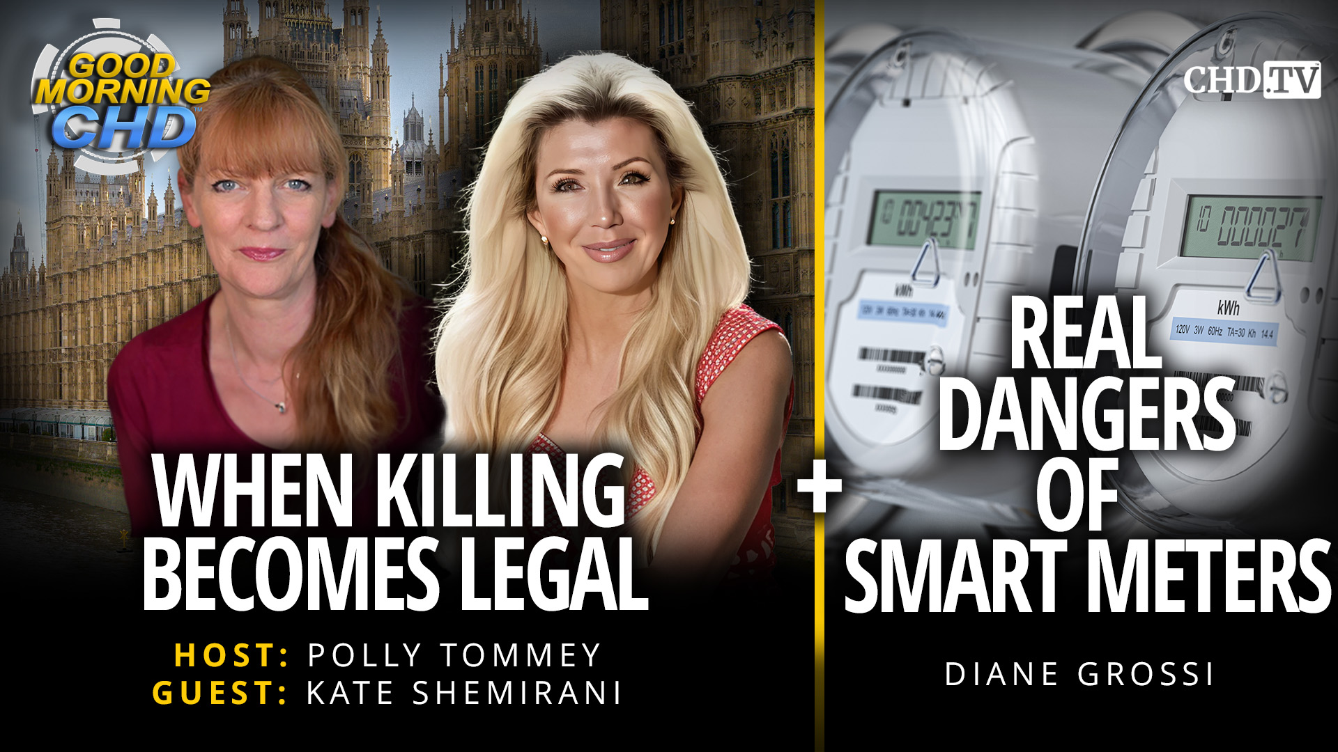 When Killing Becomes Legal + Real Dangers of Smart Meters