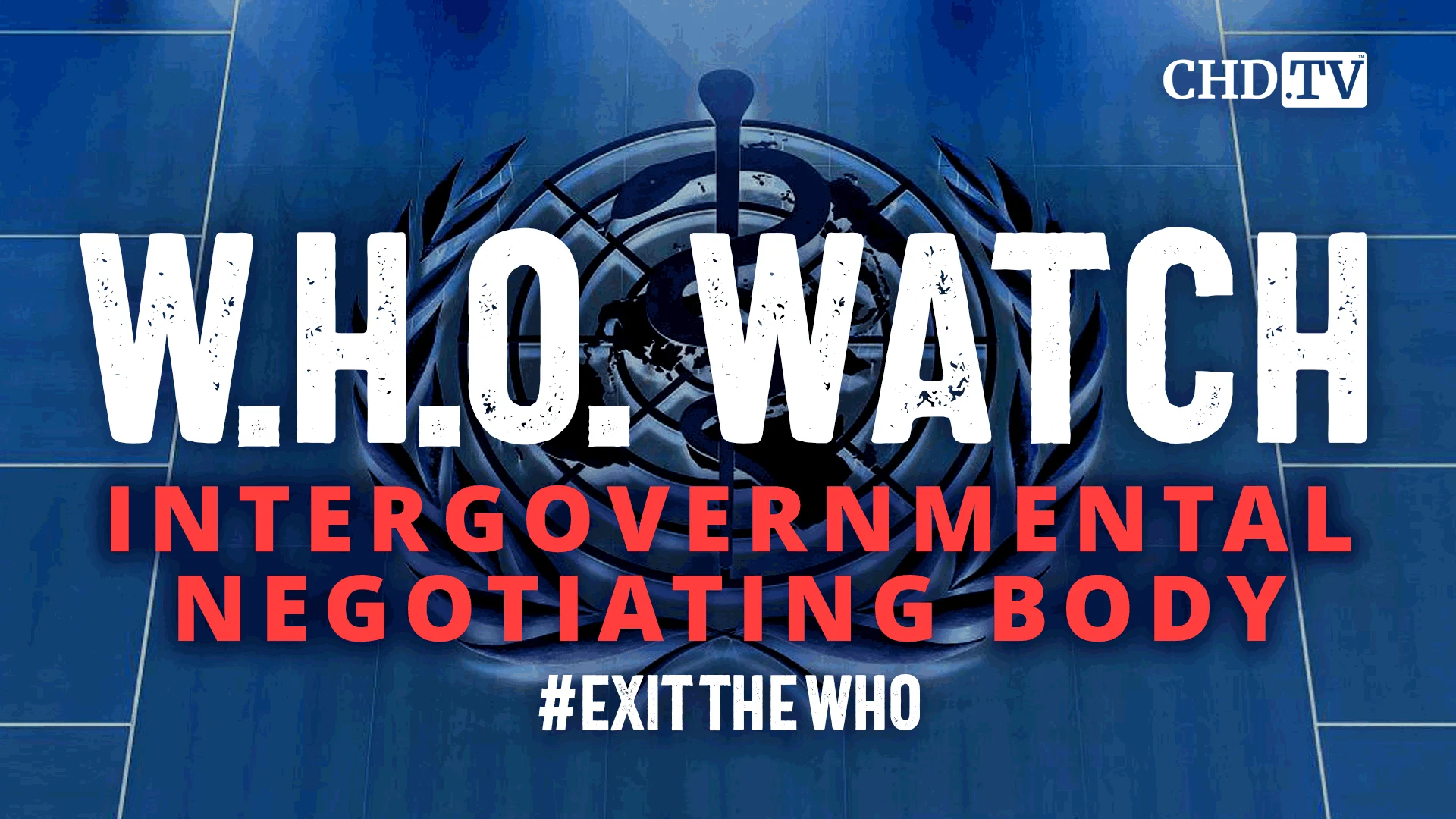 WHO WATCH: 13th Meeting of the INB for a Pandemic Agreement | Feb. 19