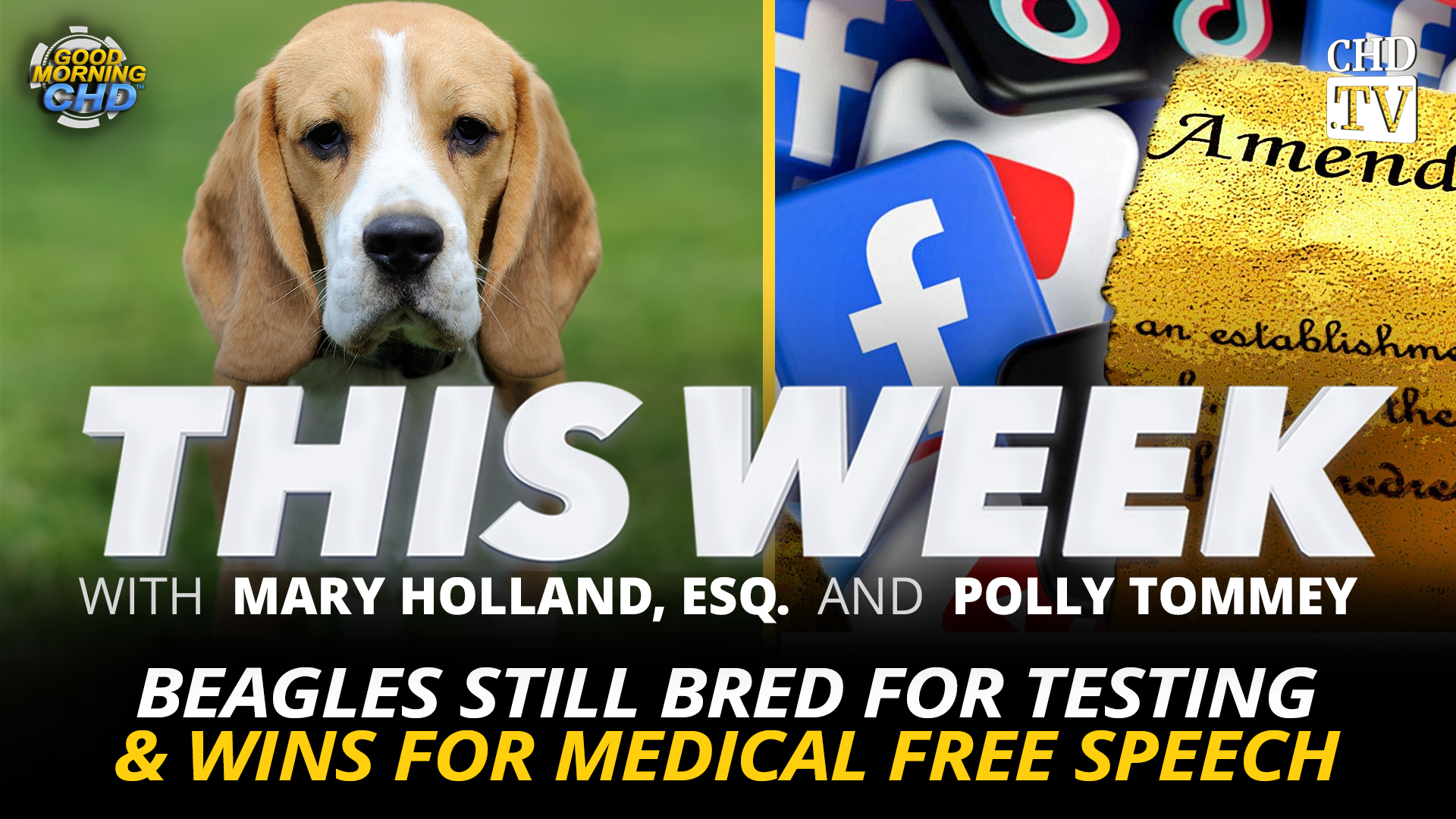 Beagles Still Bred for Testing & Wins for Medical Free Speech