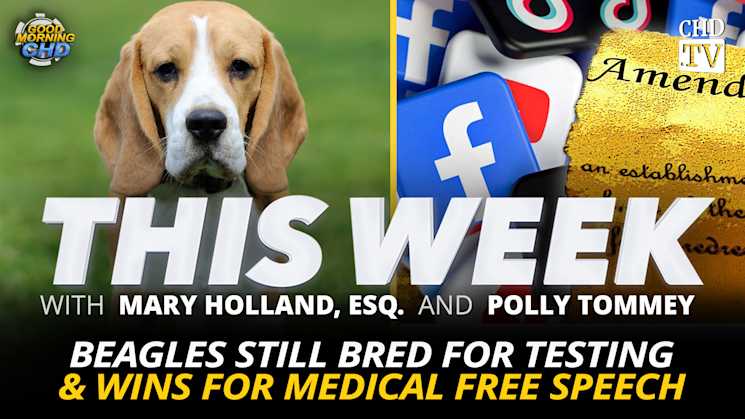 Beagles Still Bred for Testing & Wins for Medical Free Speech