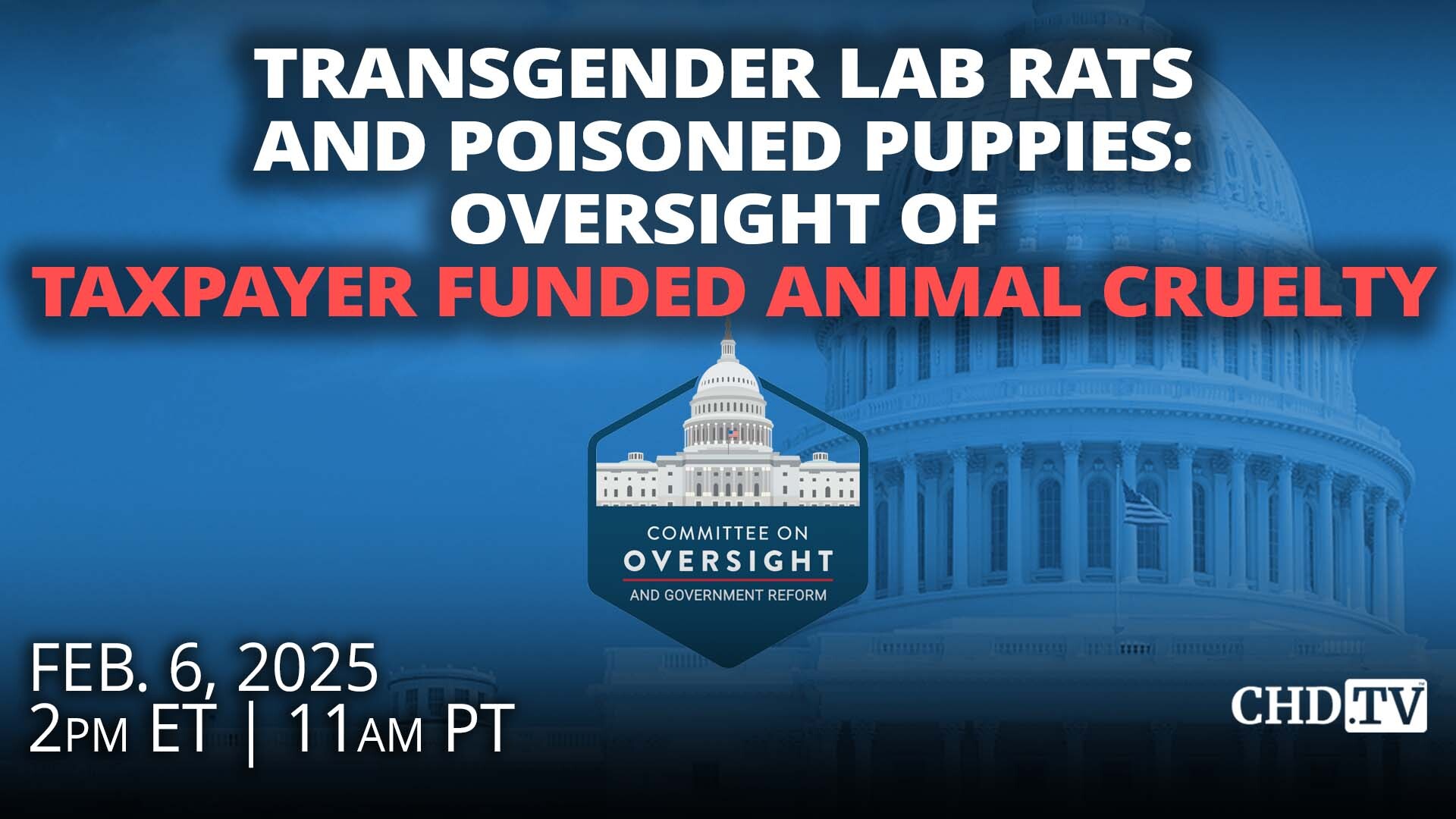 Transgender Lab Rats and Poisoned Puppies: Oversight of Taxpayer Funded Animal Cruelty