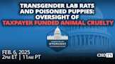 Transgender Lab Rats and Poisoned Puppies: Oversight of Taxpayer Funded Animal Cruelty