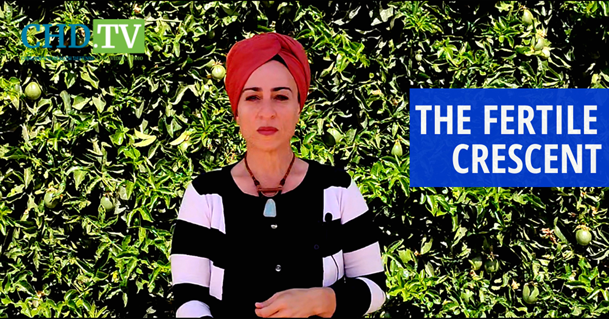 The Fertile Crescent Part 2 — Environmental Toxins Wreaking Havoc on Fertility