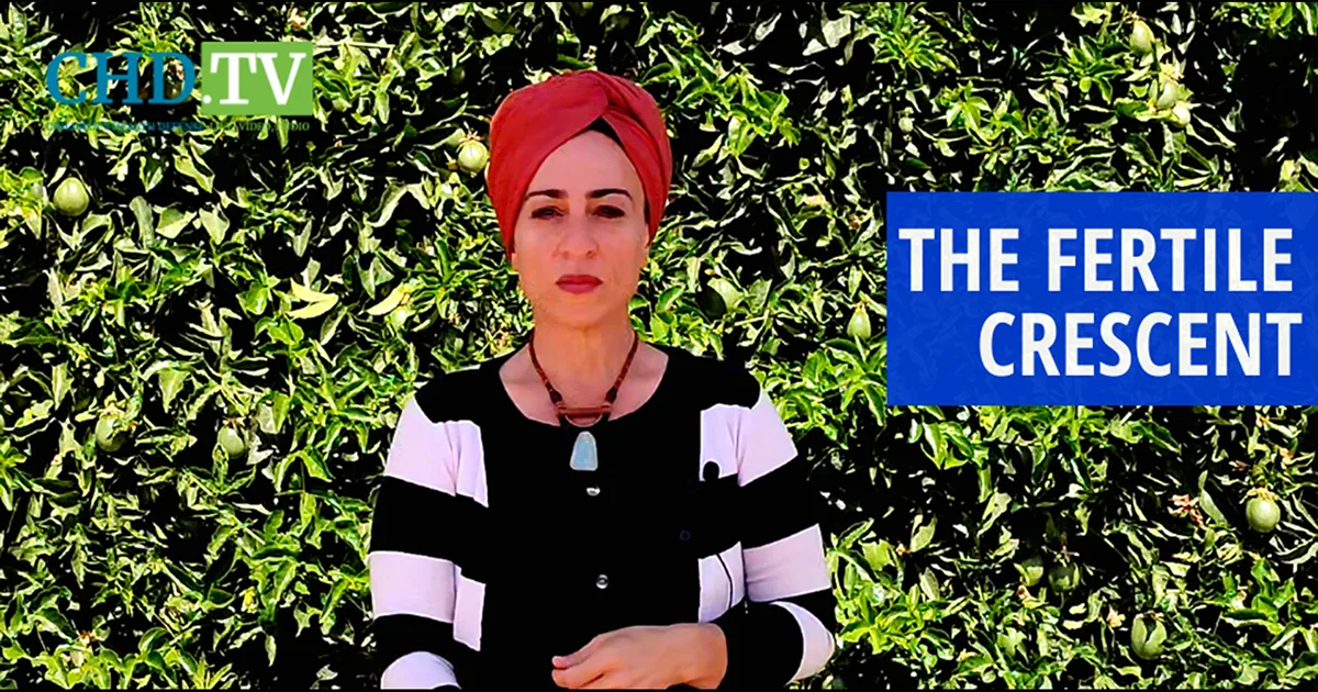 The Fertile Crescent Part 2 — Environmental Toxins Wreaking Havoc on Fertility
