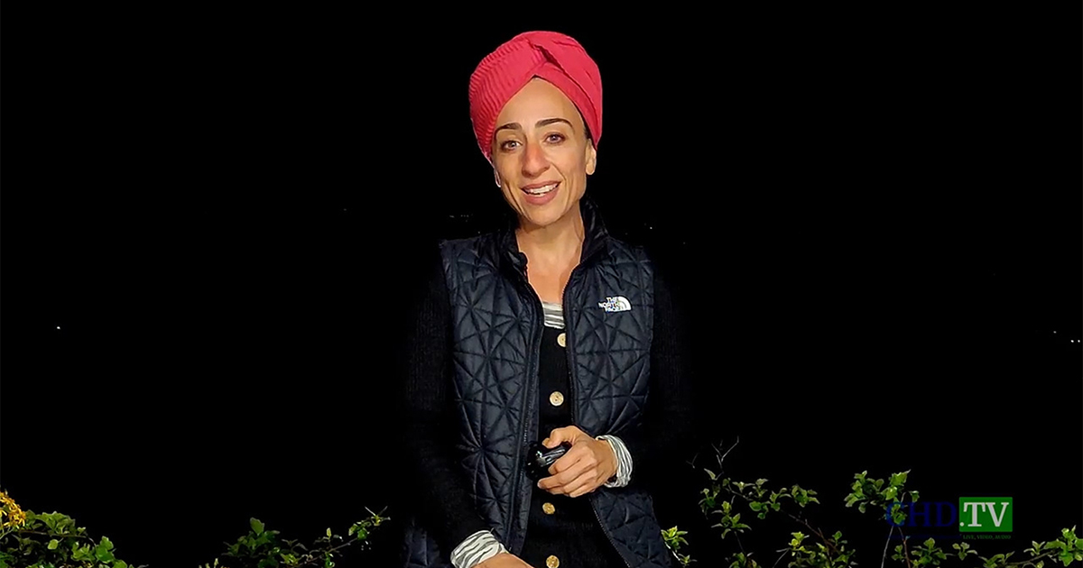 ‘A Glance at the Labyrinth’ With Dr. Reiner Fuellmich + Viviane Fischer