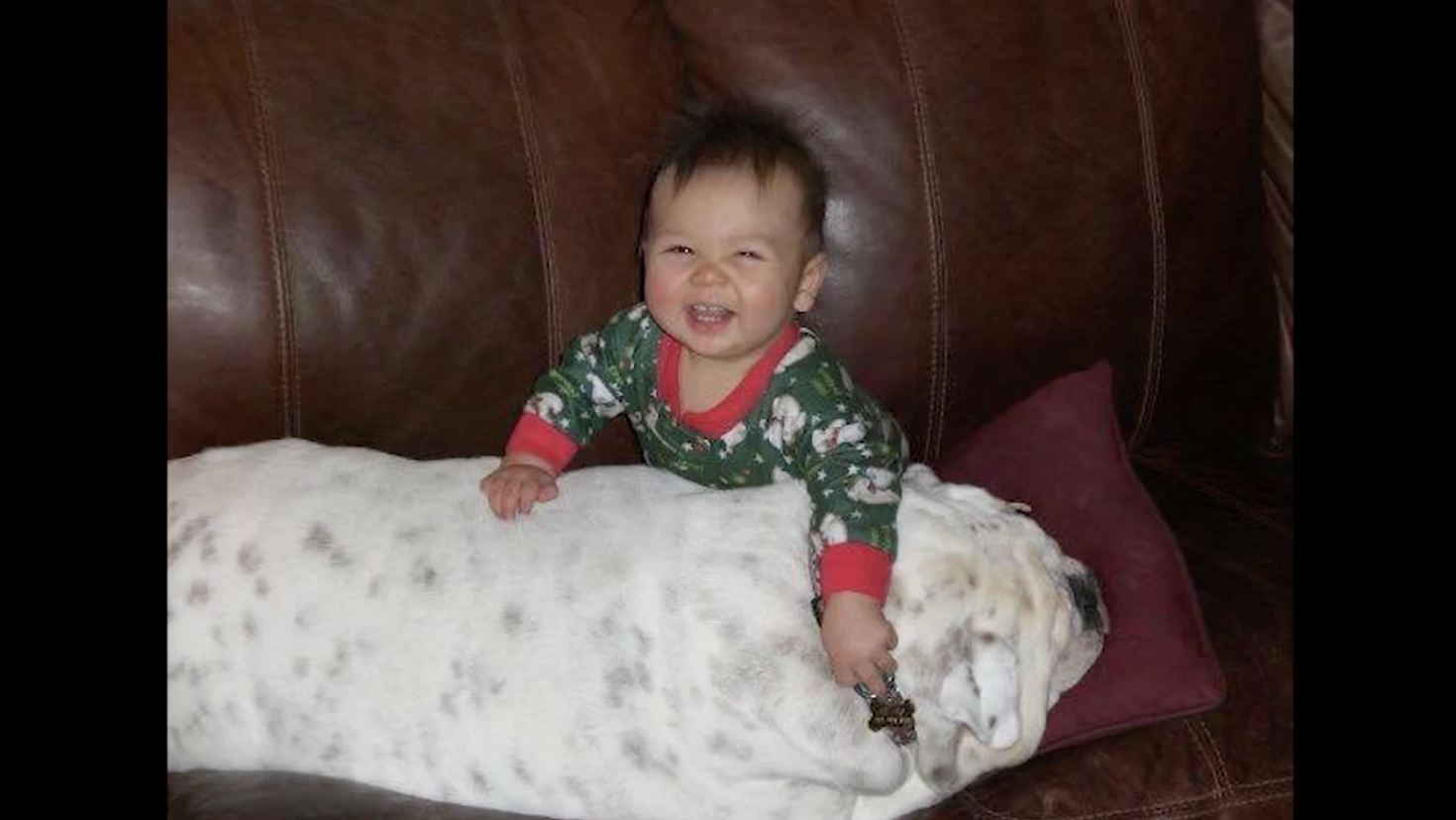 The Story of Stephan and Donovan