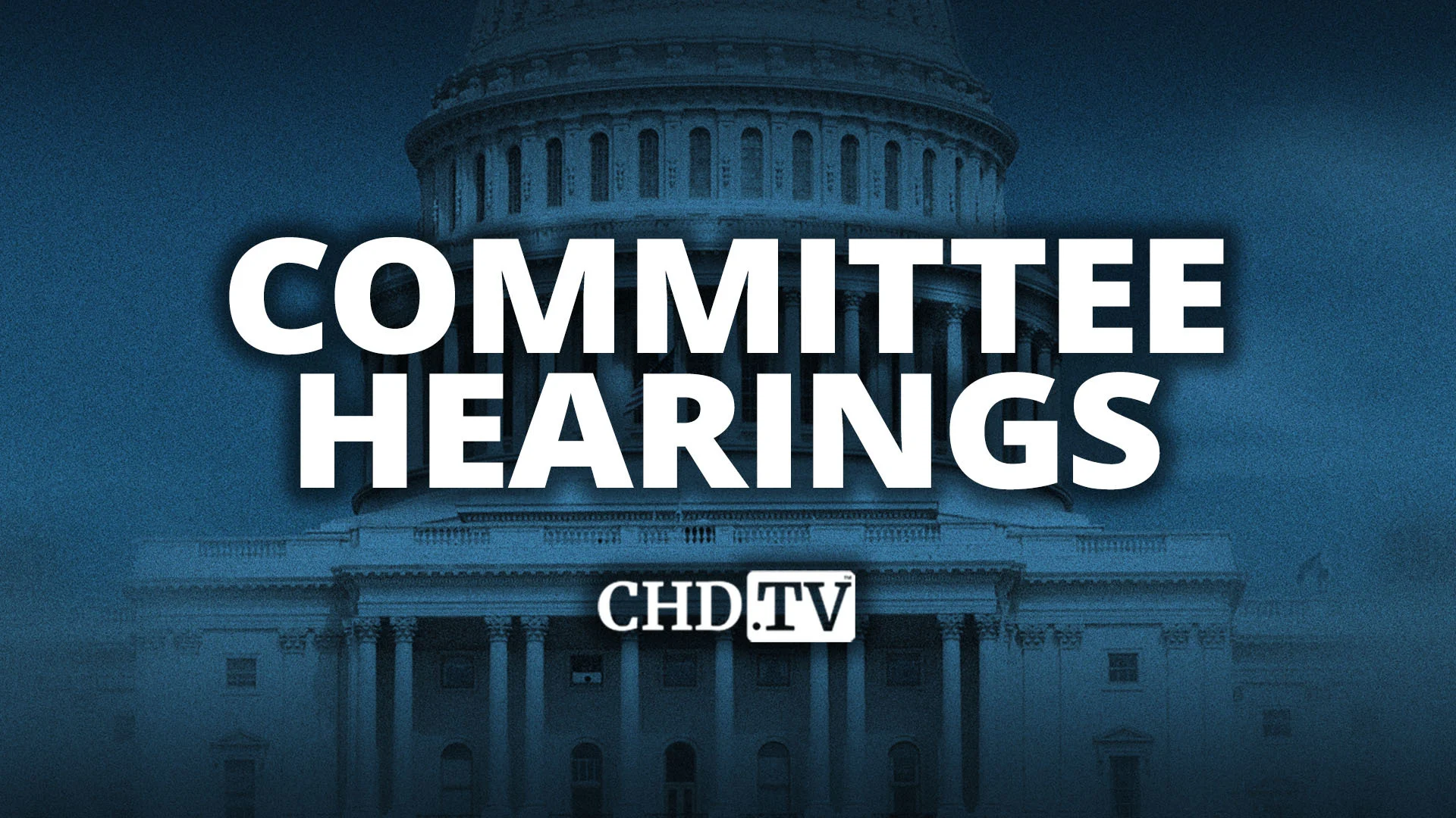 Committee Hearings