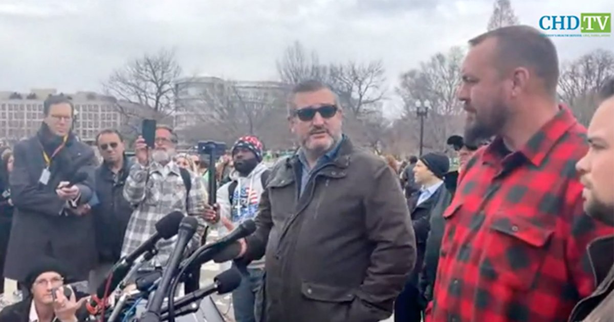 Ted Cruz Holds Press Conference With People’s Convoy Organizers in D.C.