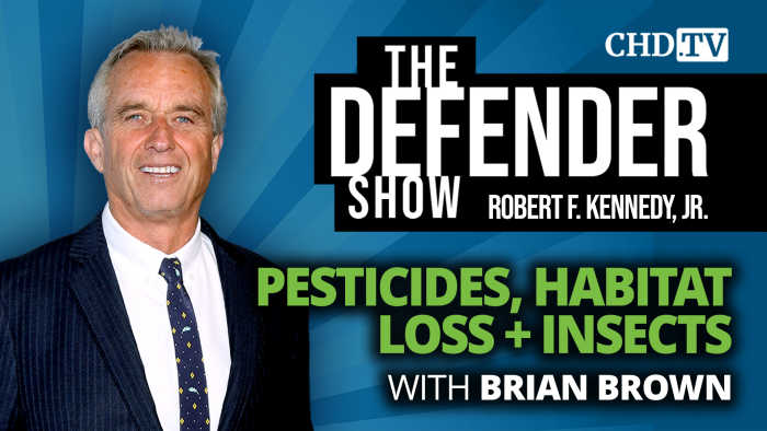 Pesticides, Habitat Loss Killing Off Insects, Entomologist Brian Brown Tells RFK, Jr.