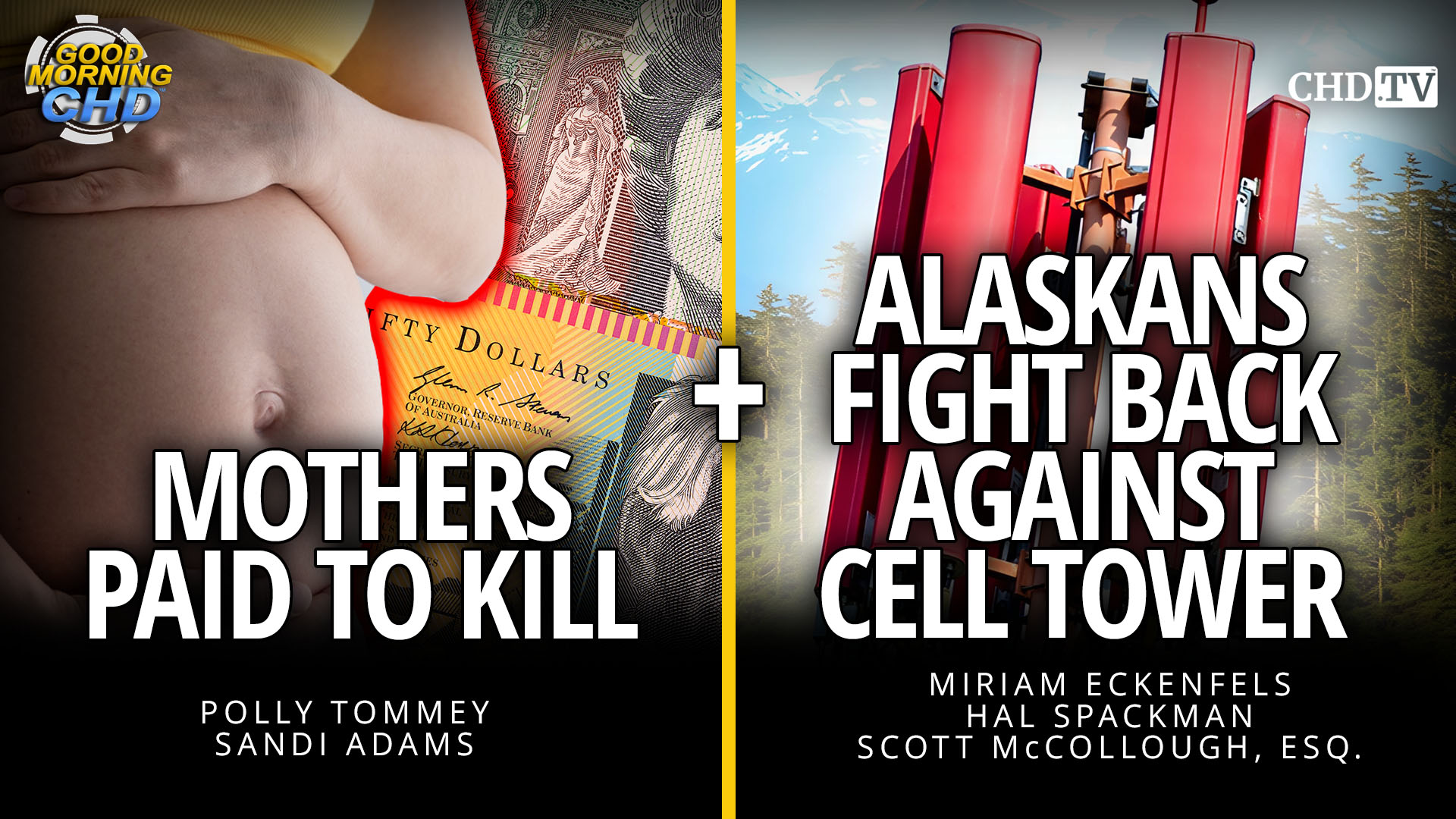 Mothers Paid To Kill + Alaskans Fight Back Against Cell Tower
