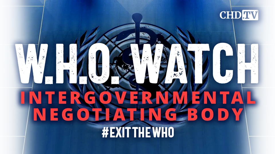 WHO WATCH: Intergovernmental Negotiating Body (INB)