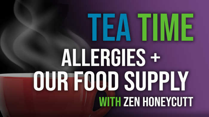 The Truth Behind Allergies + Our Food Supply With Zen Honeycutt