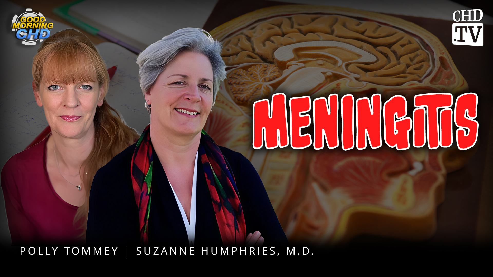 Should We Vaccinate Against Meningitis? - Suzanne Humphries, M.D. - Full Presentation