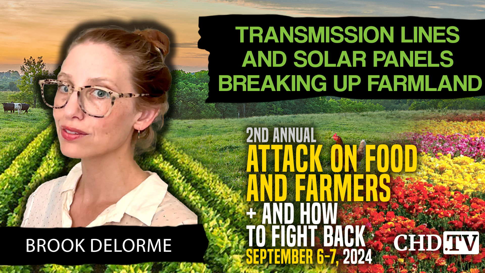 Brook DeLorme | Transmission Lines and Solar Panels Breaking up Farmland