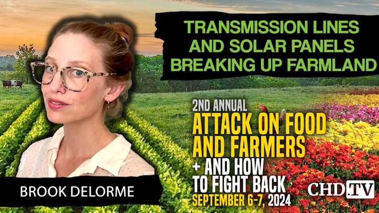 Brook DeLorme | Transmission Lines and Solar Panels Breaking up Farmland