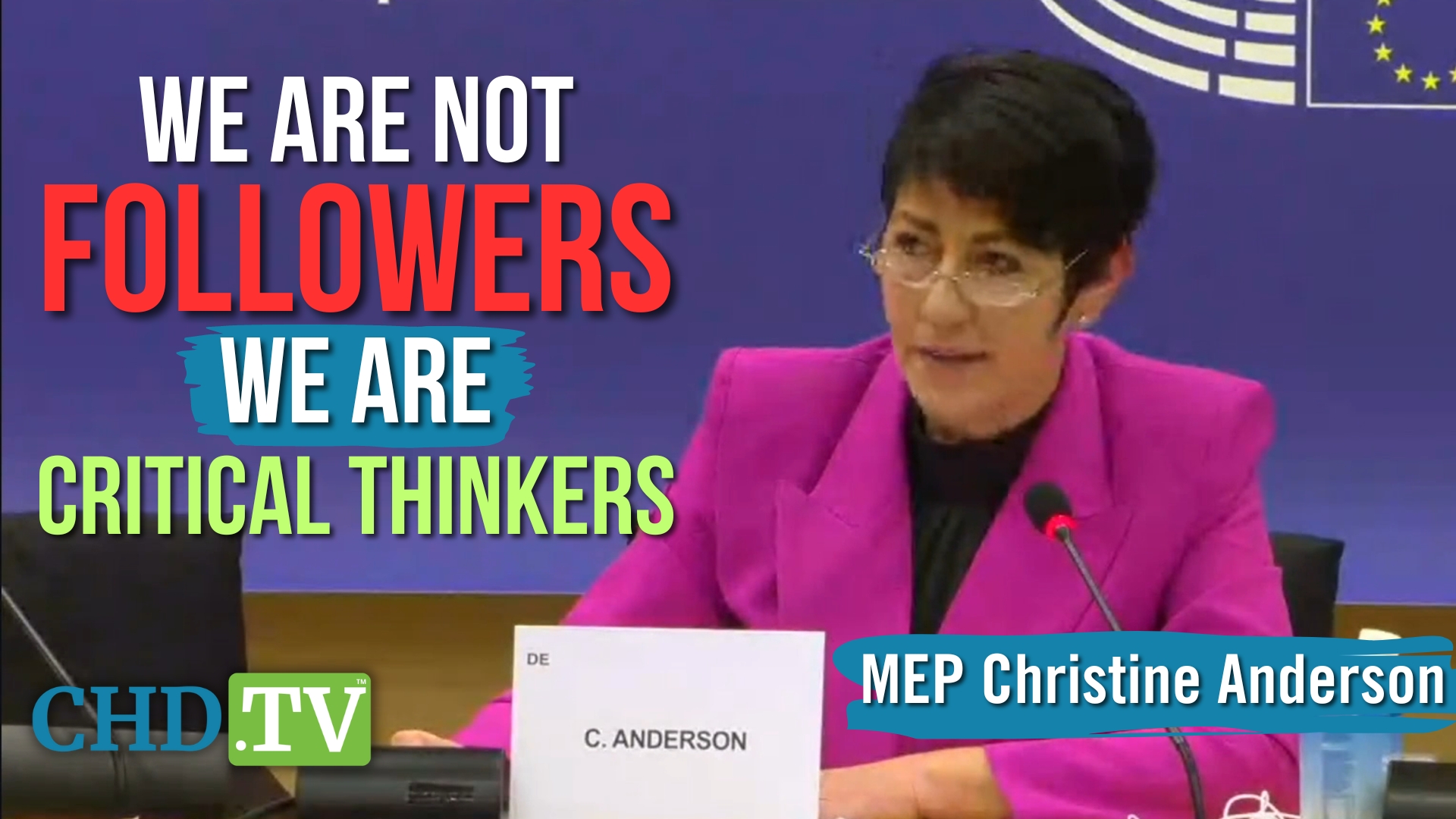 MEP Anderson Commends the ‘Small Fringe Minority’: We Will Not Have to Justify Our Silence to Our Grandchildren
